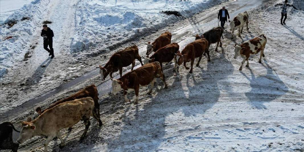 Dede mesleğine devlet desteği katkısı! İlkel yöntemi bıraktı modernliği getirdi: Bir aile el birliğiyle işi büyüttü 1